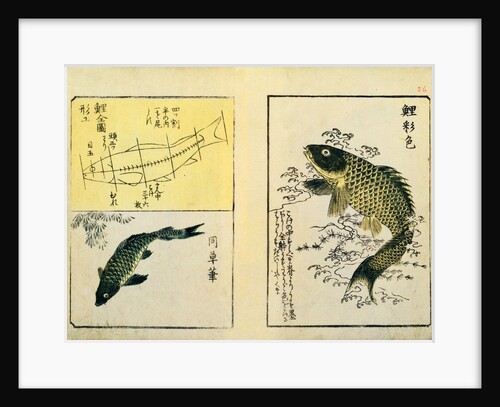 Swimming Carp by Ichiryusai Hiroshige