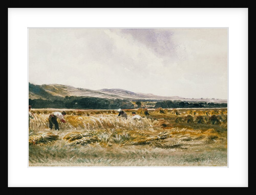 Harvest Field by Peter De Wint