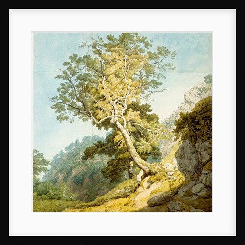 View near Camonteign, Devon by John White Abbott