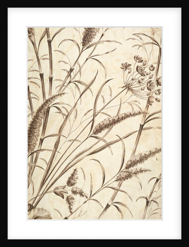 Printed textile. England, 18th-19th century by Unknown