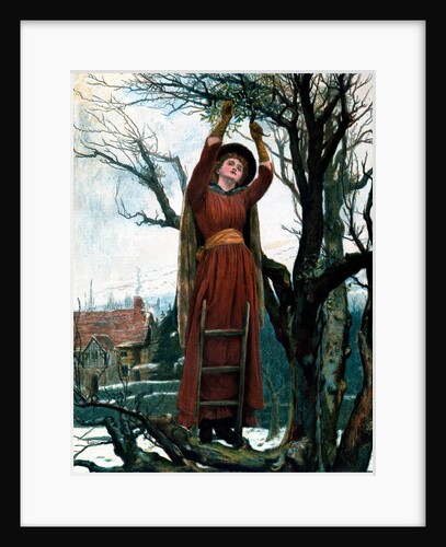 The 24th of December, Cutting the mistletoe, from The Graphic Xmas Number. England, 1886 by Anonymous