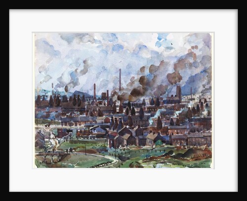 The Potteries by Alan Ian Ronald