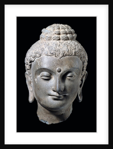 Head of Buddha. N.W. India 3rd-5th century by Unknown