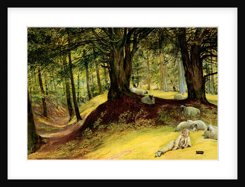 Parkhurst Woods, Abinger, Surrey by Richard Redgrave