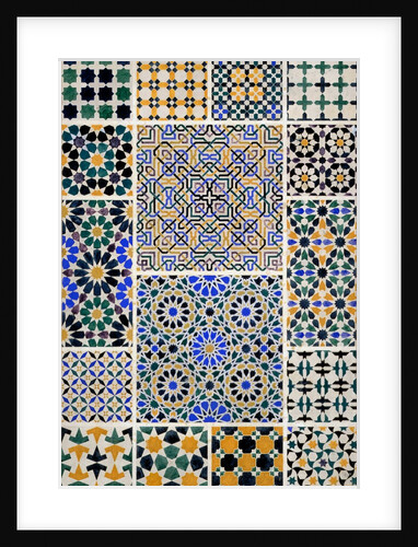 Plate from The Grammar of Ornament by Owen Jones