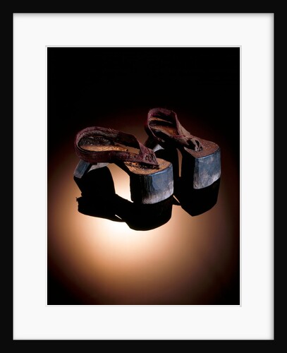 Pair of shoes. Pakistan, early 20th century by Anonymous