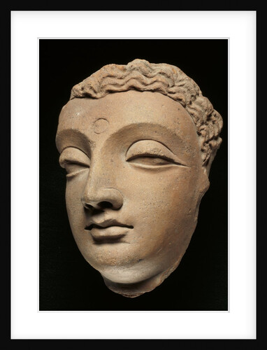 Head of Buddha. Gandharan Region, Pakistan, 3rd century A.D. by Unknown