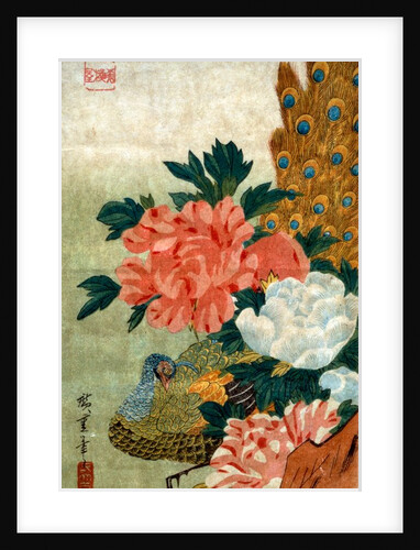 Peony and a Peacock by Utagawa Hiroshige I
