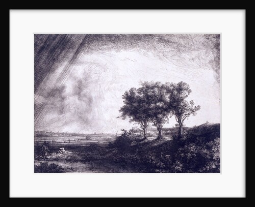 Three trees by Rembrandt van Rijn