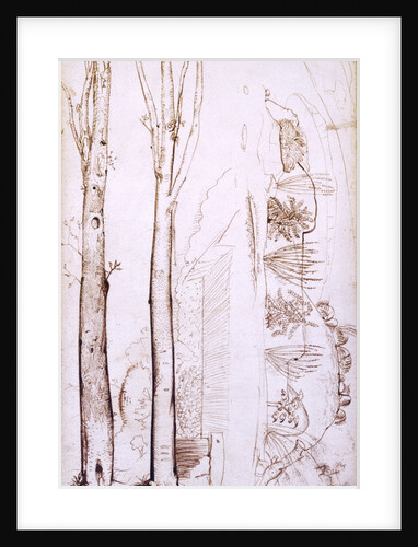 Sketches of trees and a hilly landscape by Samuel Palmer