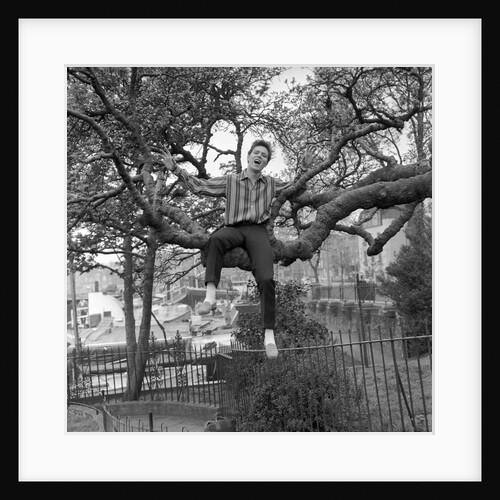 Cliff Richard singing on a tree by Harry Hammond