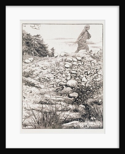 The parable of the sower by John Everett Millais
