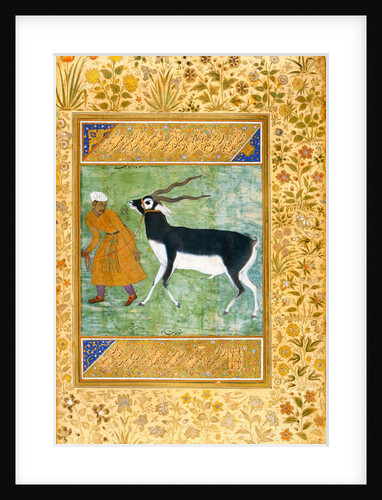 An Indian black buck being led by its keeper by Anonymous