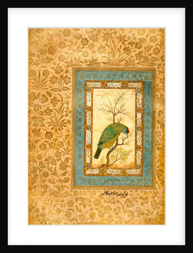 A Himalayan Blue-throated Barbet by Ustad Mansur