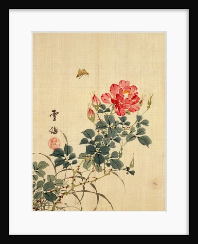Wild Red Rose Buds, Butterfly and Foliage by Sekkisai