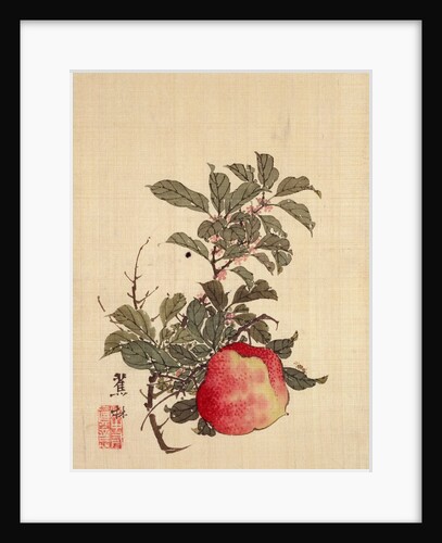 Apple, Pink Blossom and Foliage by Shorin