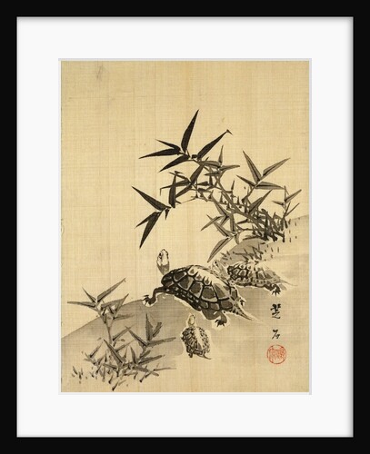 Tortoises and Bamboo by Siuseki