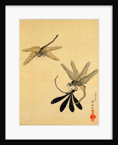 Dragonflies. Japan, 19th century by Unknown