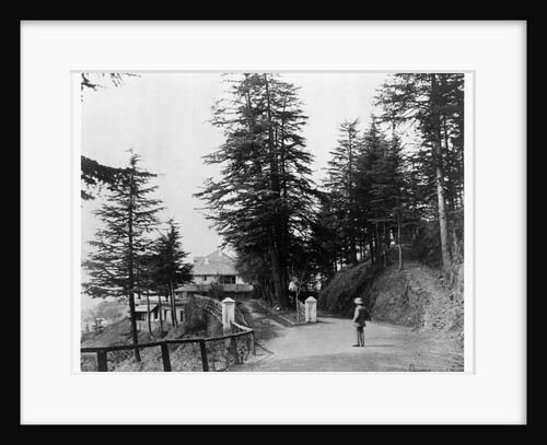 Simla by Samuel Bourne