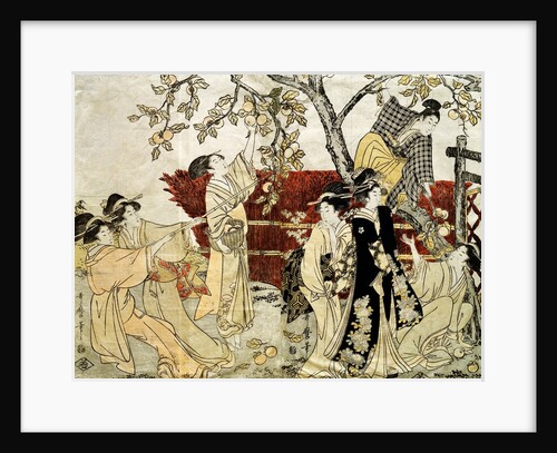 A Man and Six Women Gathering Persimmons by Kitagawa Utamaro