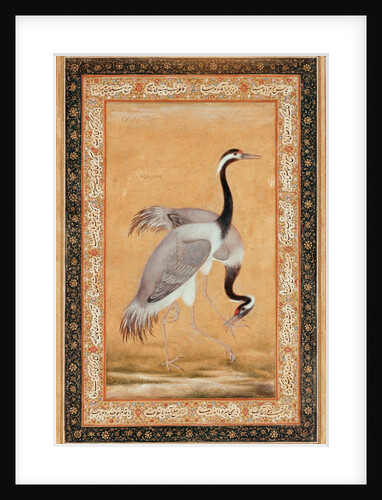 A Pair of Cranes by Ustad Mansur
