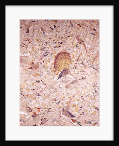 Embroidered shawl by Unknown