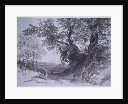 Paliano by Edward Lear
