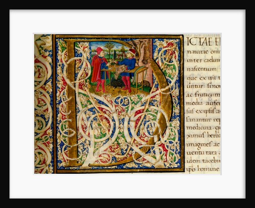 Initial D, from Pliny's Natural History. Italy, mid-15th century by Pliny the Elder