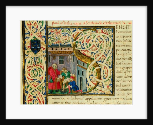 Initial S, from Pliny's Natural History. Italy, mid-15th century by Pliny the Elder