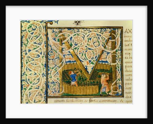 Initial M, from Pliny's Natural History. Italy, mid-15th century by Pliny the Elder