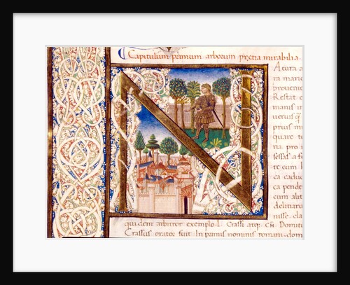 Initial N from Pliny`s Natural History by Pliny the Elder