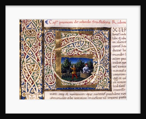 Initial E by Pliny The Elder