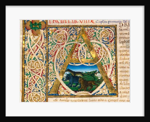 Initial A, from Pliny's Natural History. Italy, mid-15th century by Pliny the Elder