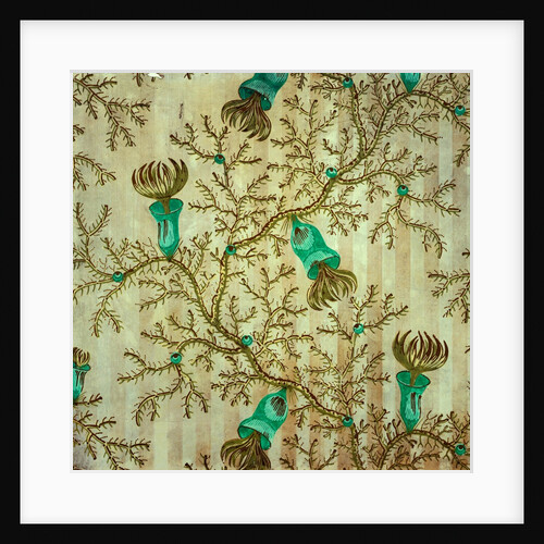 Thorn Damask wallpaper, detail by Unknown