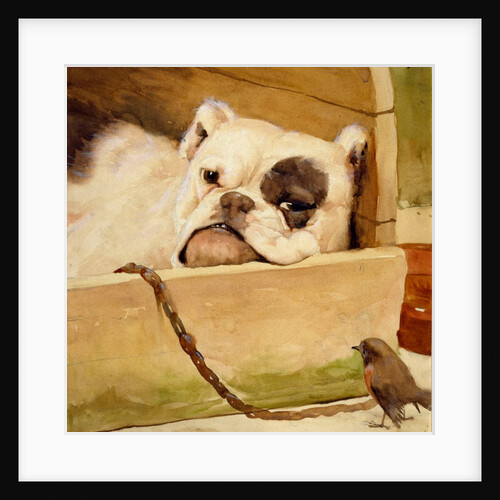 Bulldog and robin by Cecil Aldin