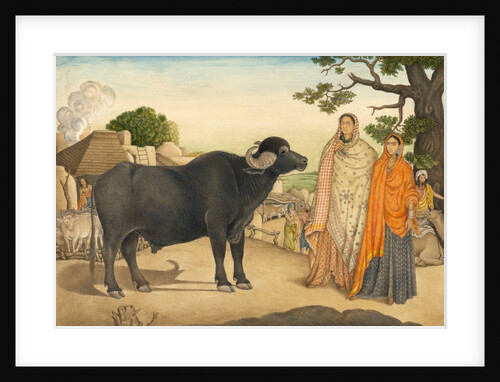 Two women and a buffalo in the village of Rania by Unknown