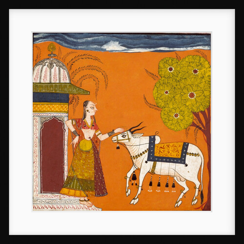 Lady stroking a bull by Unknown