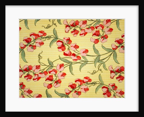 Sweet Peas by Jean Dresser Christopher