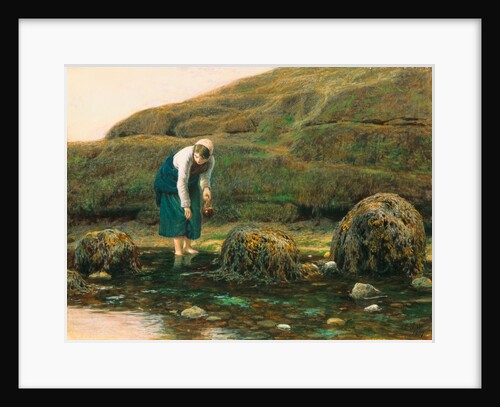 The Winkle Collector by John Dawson Watson