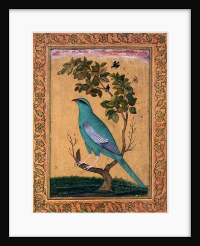 A Green Majore on a tree-trunk by Riza 'Abbasi