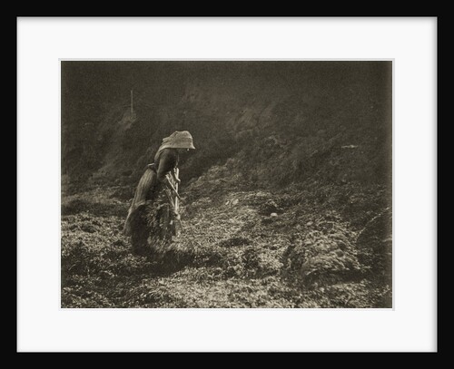 Woman Raking by Paul Martin
