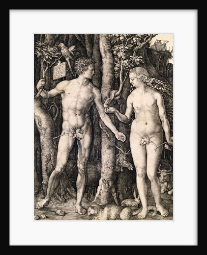 Adam and Eve by Albrecht Durer