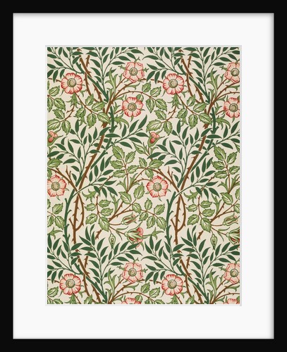 Sweet Briar wallpaper by John Henry Dearle