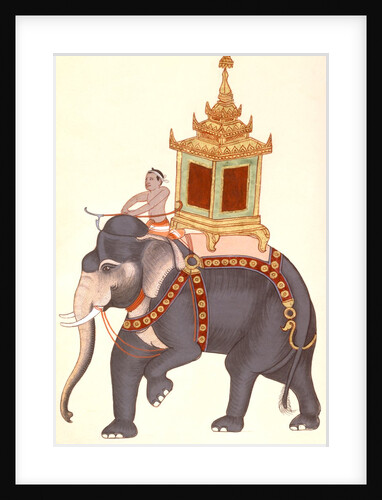 The King's elephant, Company Painting by Unknown