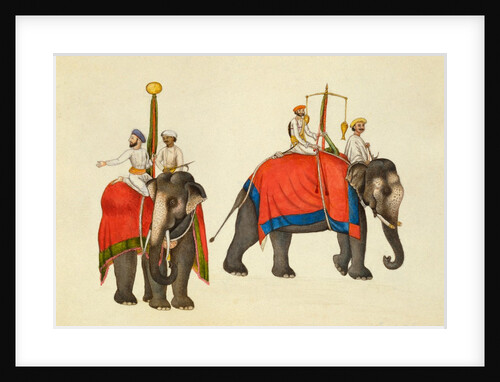 Two elephants with Mahouts carrying the fish and sun insignia by Mazhar Ali Khan