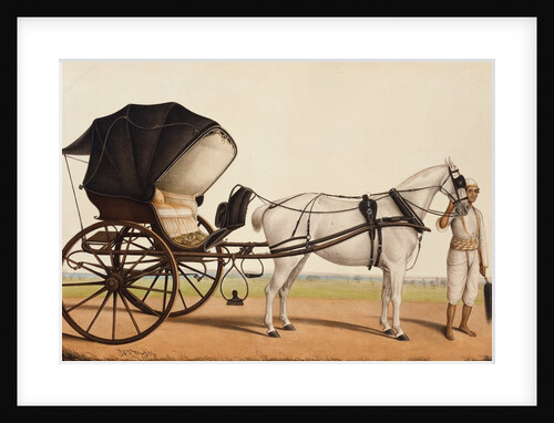 Carriage with Groom by Shaykh Muhammad Amir of Karraya