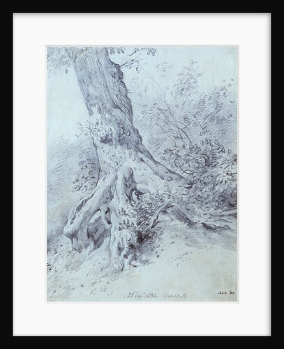 The Root of a Tree at Hampstead by John Constable