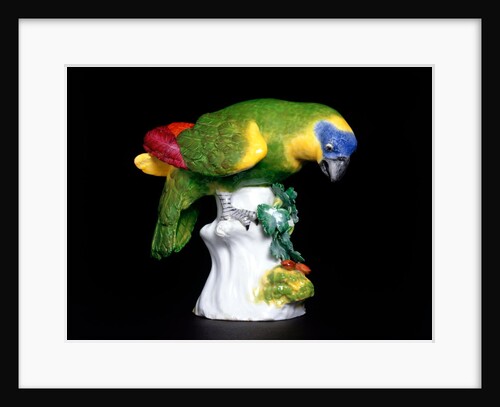 Parakeet by Johann Joachim Kändler