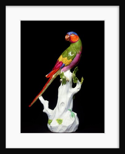 Long Tailed Parrot by Johann Joachim Kändler