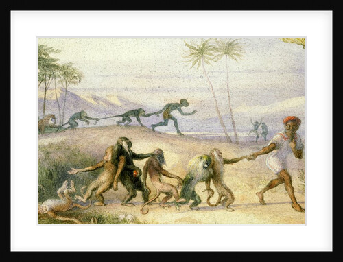 The Manners and Customs of Monkeys by Richard Doyle